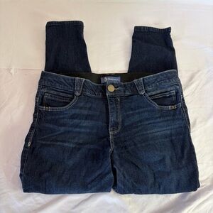 Democracy “Ab-Solution” Skinny Jeans | Dark Wash | Women’s 14